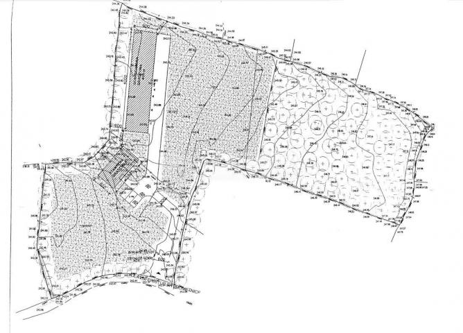 Juršići, zemljište od 20. 000 m2 s projektom, započeta gradnja