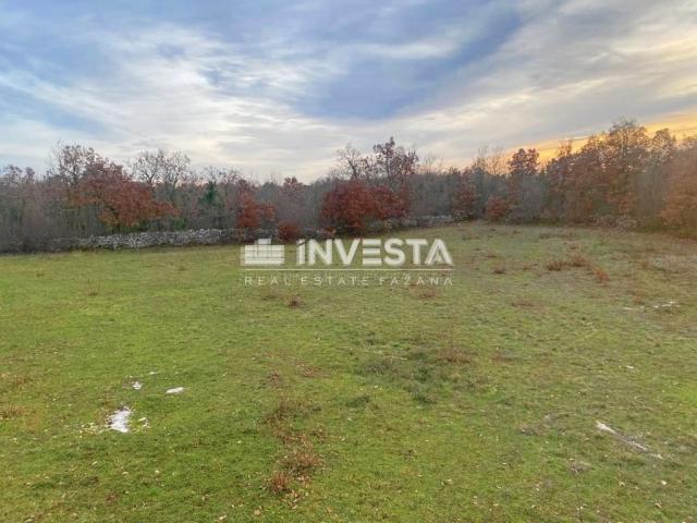 Juršići, land of 20,000 m2 with project, construction started