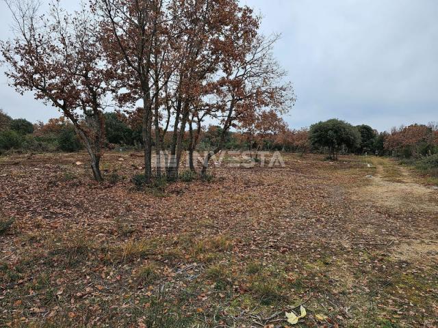 More land in Peroj, 500 m from the sea