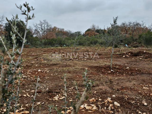 More land in Peroj, 500 m from the sea