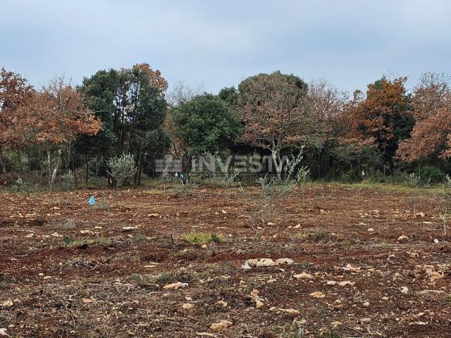 More land in Peroj, 500 m from the sea