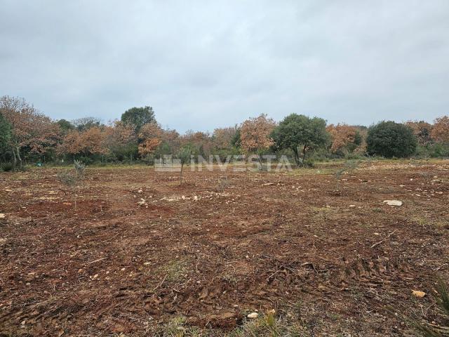 More land in Peroj, 500 m from the sea