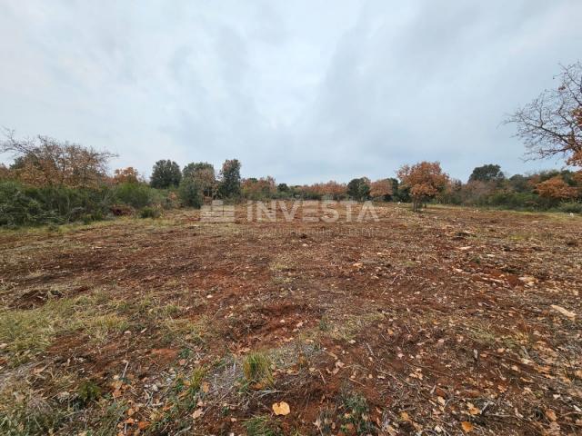 More land in Peroj, 500 m from the sea