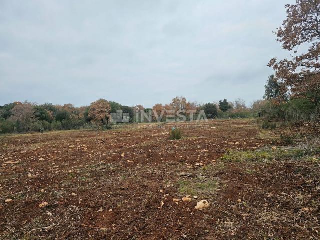 More land in Peroj, 500 m from the sea