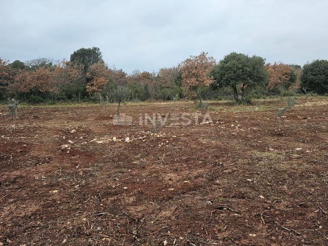 More land in Peroj, 500 m from the sea