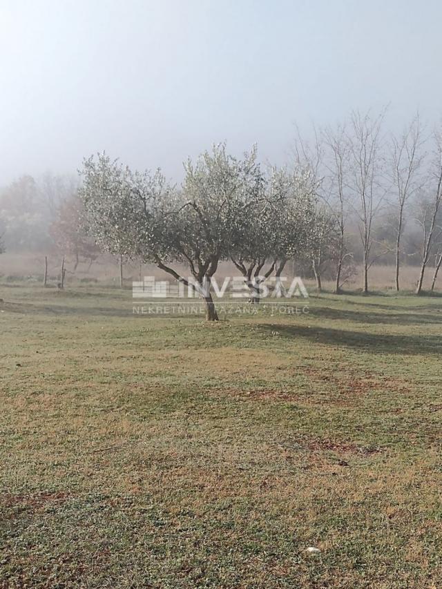 Poreč area, old Istrian house with a property of 52,800 m2