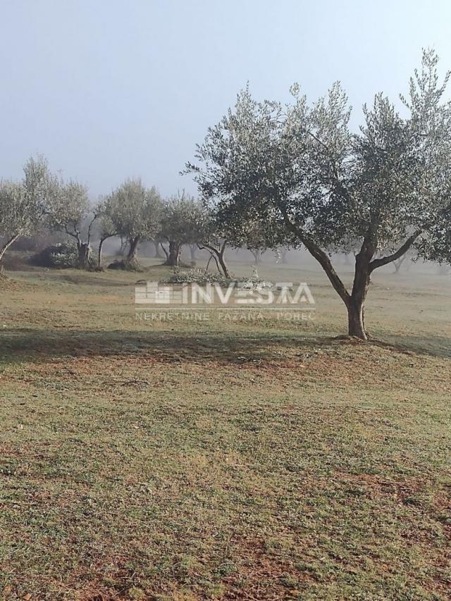 Gegend von Poreč, altes istrisches Haus mit einem Grundstück von 52.800 m2