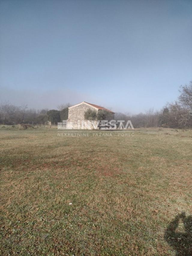 Poreč area, old Istrian house with a property of 52,800 m2