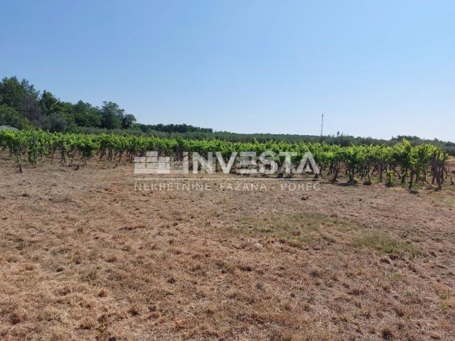 Poreč area, agricultural land 4549 m2 - vineyard and pasture