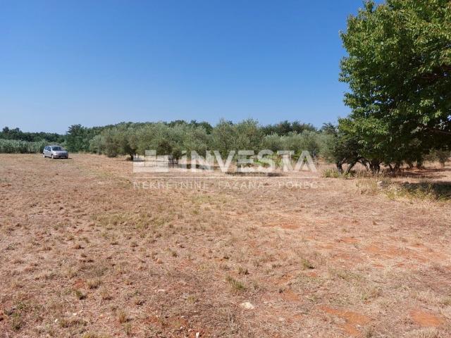 Poreč area, agricultural land 4549 m2 - vineyard and pasture