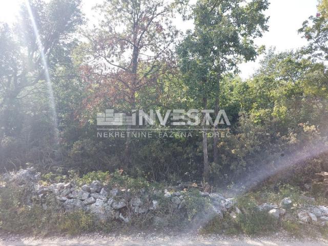 Labin area, building plot 4508 m2 with sea view