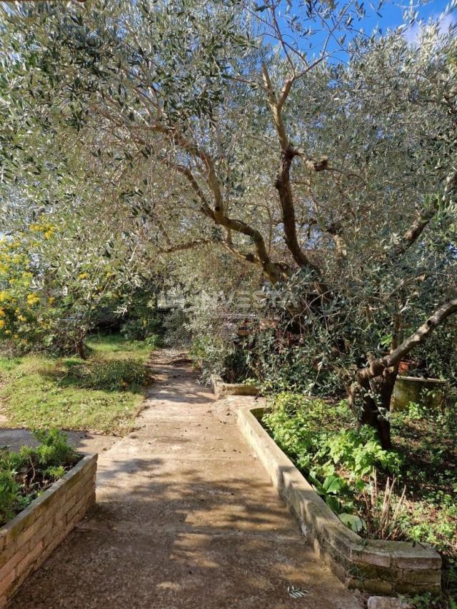 Pula, detached family house with 4 apartments and a spacious garden