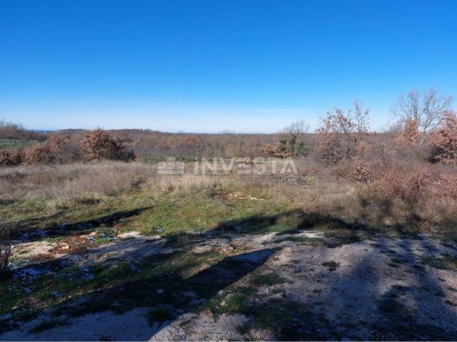 Lovreč area, residential and commercial building with a large plot of land