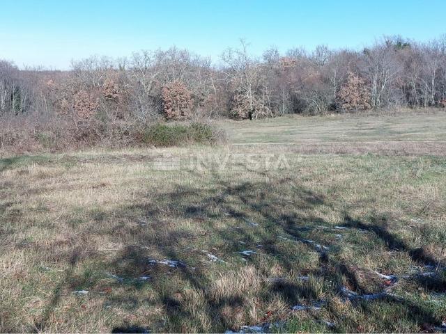 Lovreč area, residential and commercial building with a large plot of land