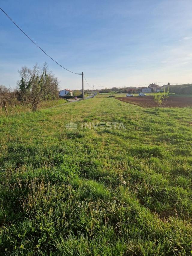 Marčana, spacious building plot of 1245 m2