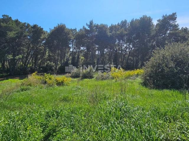 Pula - attractive building plots 200 meters from the sea