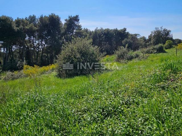 Pula - attractive building plots 200 meters from the sea