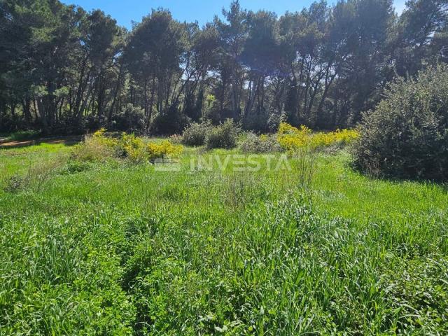 Pula - attractive building plots 200 meters from the sea