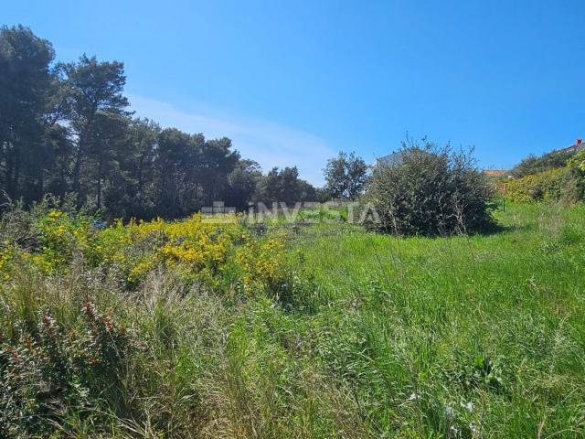 Pula - attractive building plots 200 meters from the sea