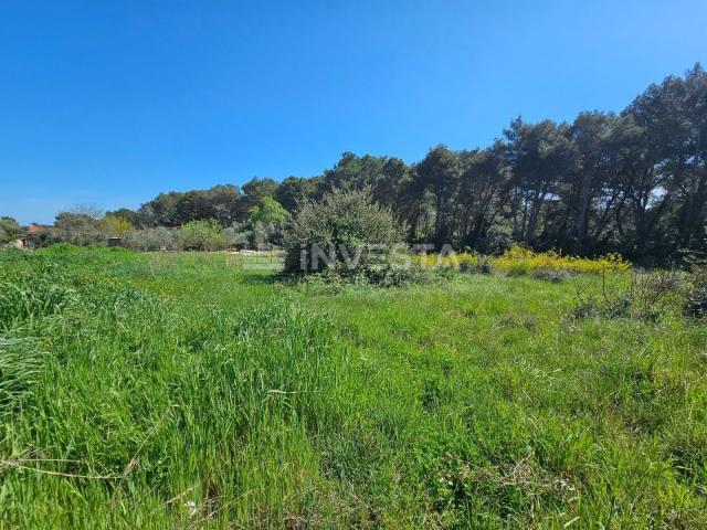 Pula - attractive building plots 200 meters from the sea