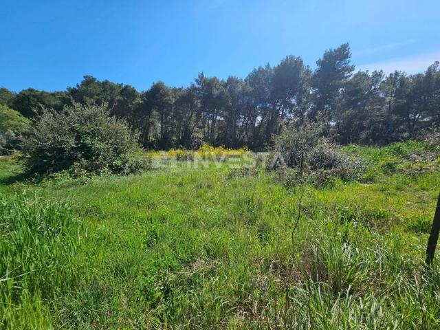 Pula - attractive building plots 200 meters from the sea