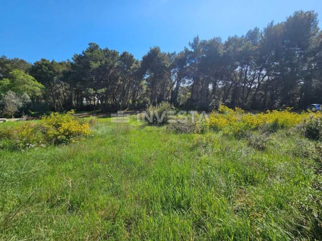 Pula - attractive building plots 200 meters from the sea