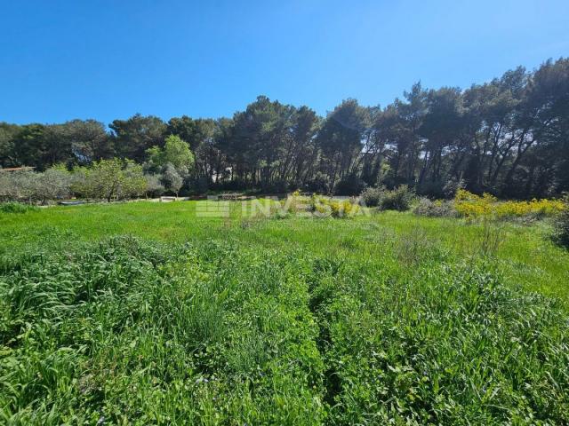 Pula - attractive building plots 200 meters from the sea