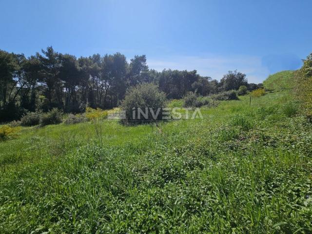 Pula - attractive building plots 200 meters from the sea