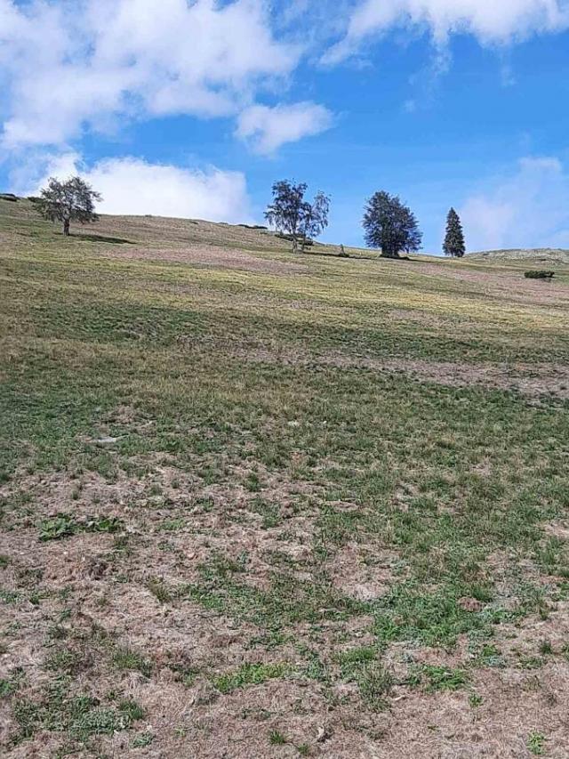 Land for sale, 3923 m2, Mojkovac, Bjelojevici