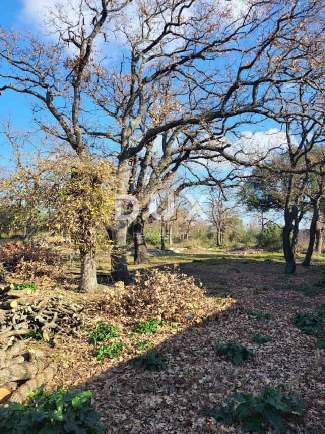 BIOGRAD, RAŠTANE GORNJE - Kamena kuća na parceli od 1600 m2