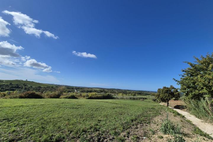 Istra, Buje - građevinsko zemljište B, 1036 m2 na odličnoj lokaciji