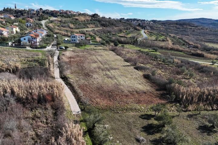 Istra, Buje - građevinsko zemljište B, 1036 m2 na odličnoj lokaciji