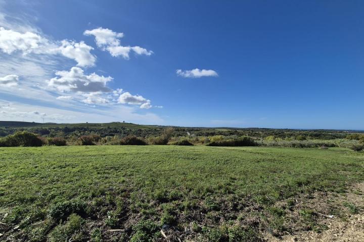 Istra, Buje - građevinsko zemljište B, 1036 m2 na odličnoj lokaciji