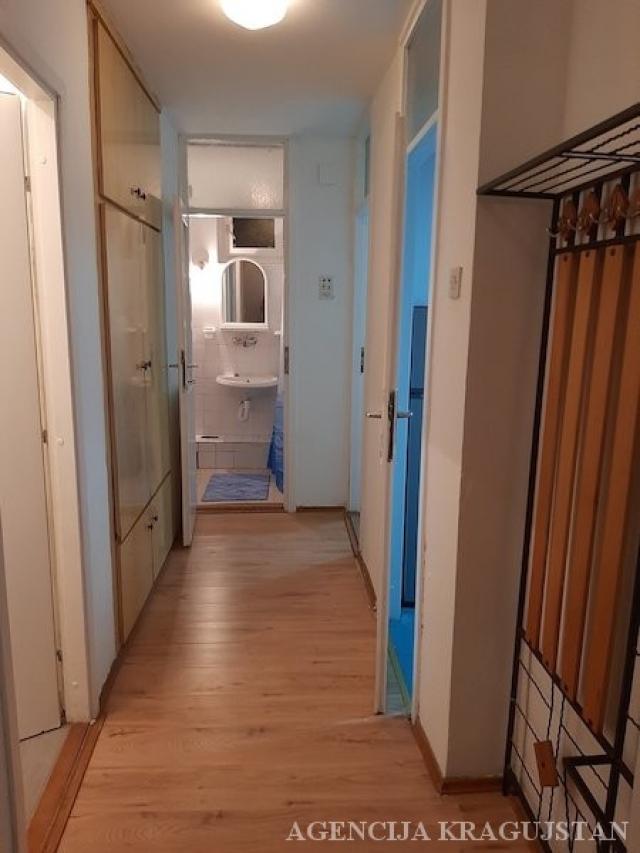 Izdavanje, Stan, 55. 00m2 , Aerodrom