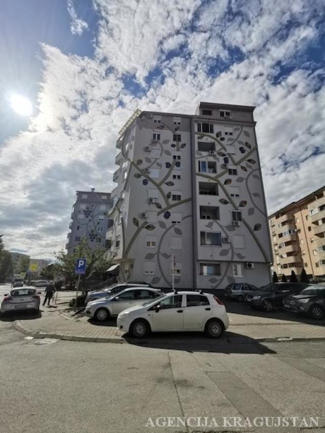 Izdavanje, Stan, 40. 00m2 , Erdoglija