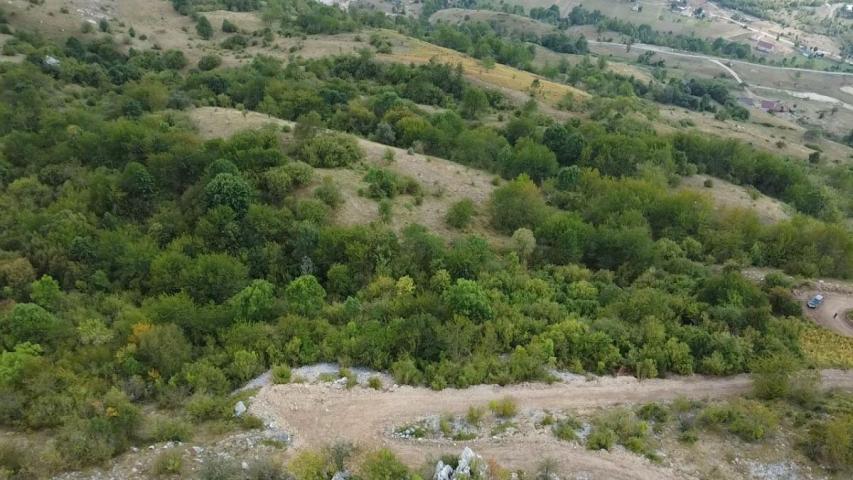 Land for Sale 41000 m2, Kolašin, Lipovo