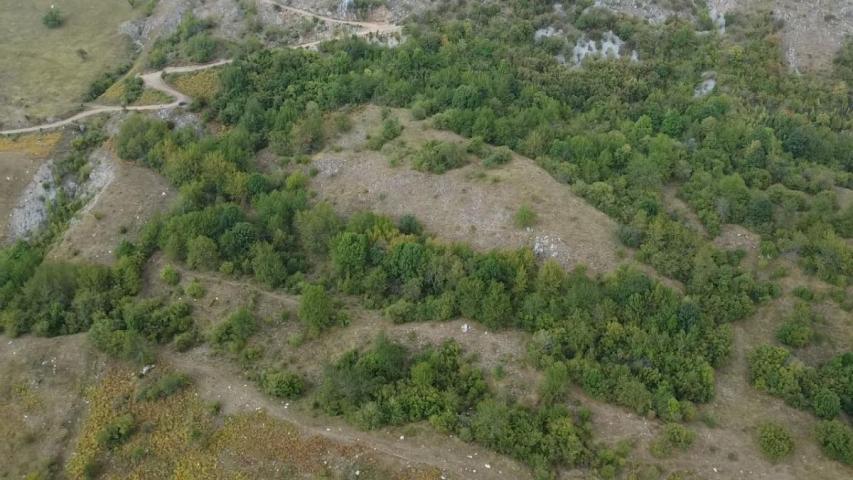 Land for Sale 41000 m2, Kolašin, Lipovo