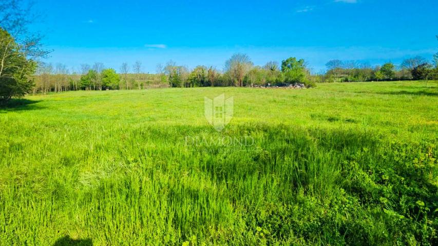 Poreč, surroundings, edge plot with building permit