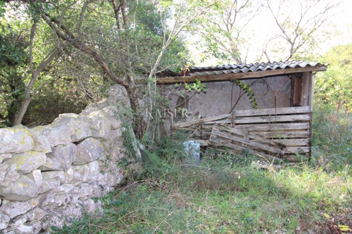 Ravni - property 350 m from the sea, 13,270 m2