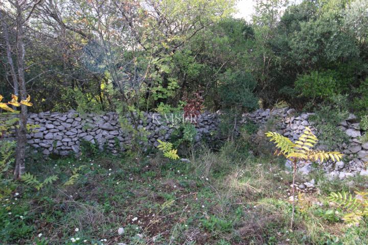 Ravni - property 350 m from the sea, 13,270 m2