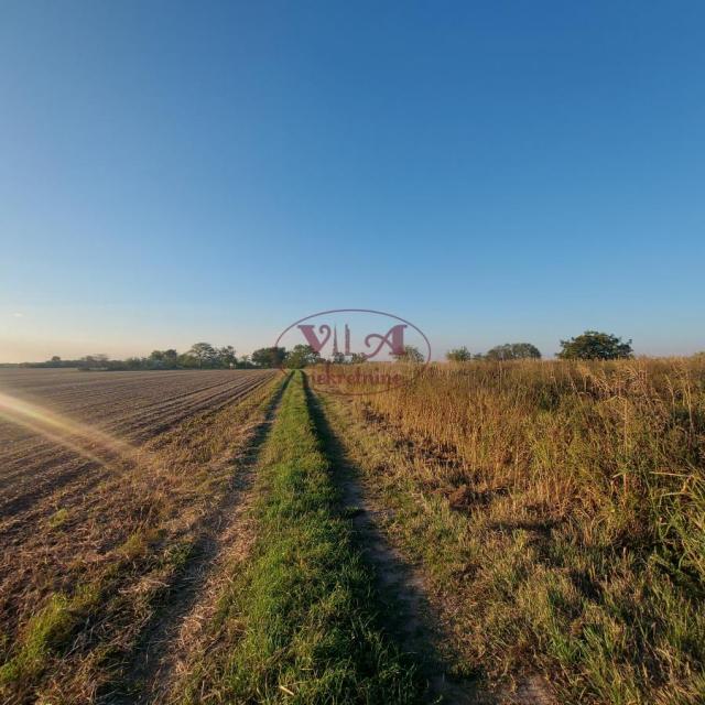 Srbobran, Salaš na obali reke Krivaje- fantastično mesto