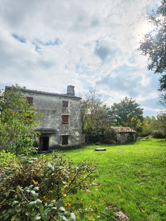 Haus Ročko Polje, Buzet, 90m2