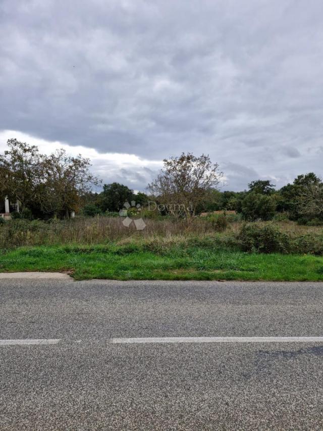 Land Grandići, Barban, 1.100m2