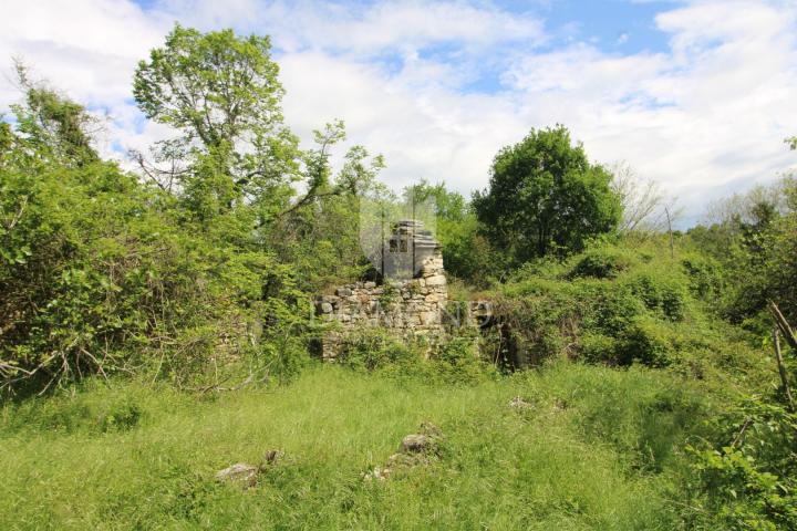 Zemljište Labin, 250. 000m2