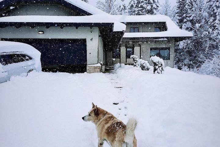 Delnice, Lynx house, moderna villa površine 477m2 s priključkom za bazen