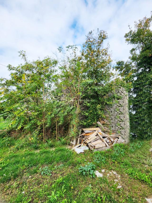 A large urbanized plot with several ruins