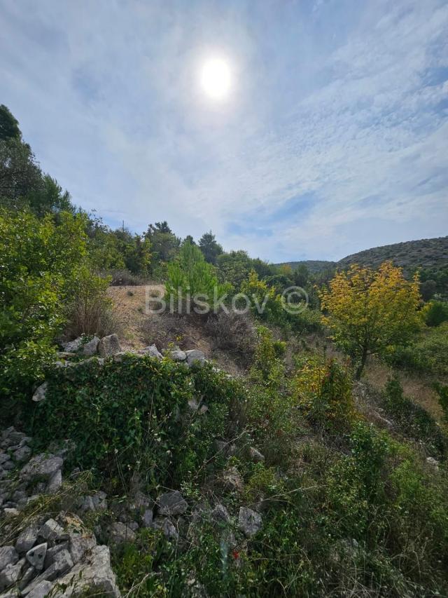 Brač, prodaja 4356m2 zemljište, legaliziran objekt 47m2