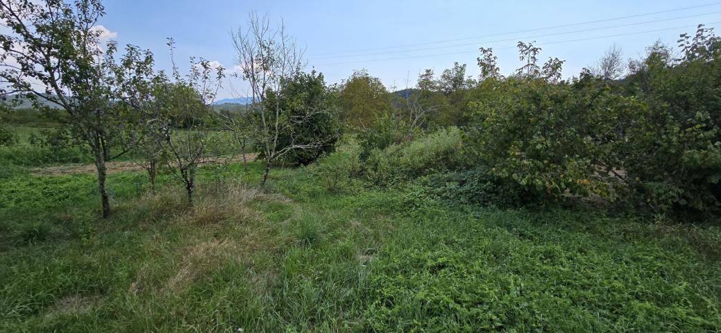 ISTRIA, CEROVLJE - Old house with a large garden