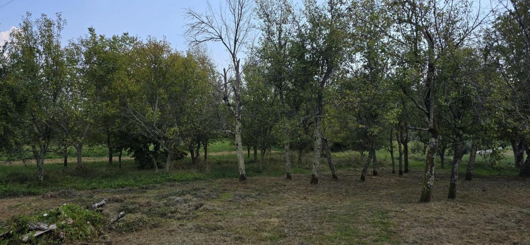 ISTRIA, CEROVLJE - Old house with a large garden