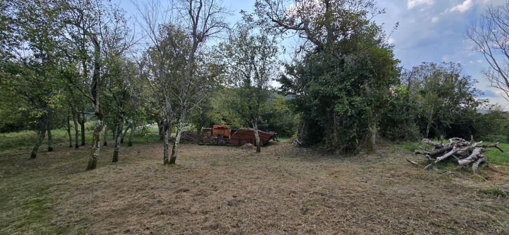 ISTRA, CEROVLJE - Starina s velikom okućnicom